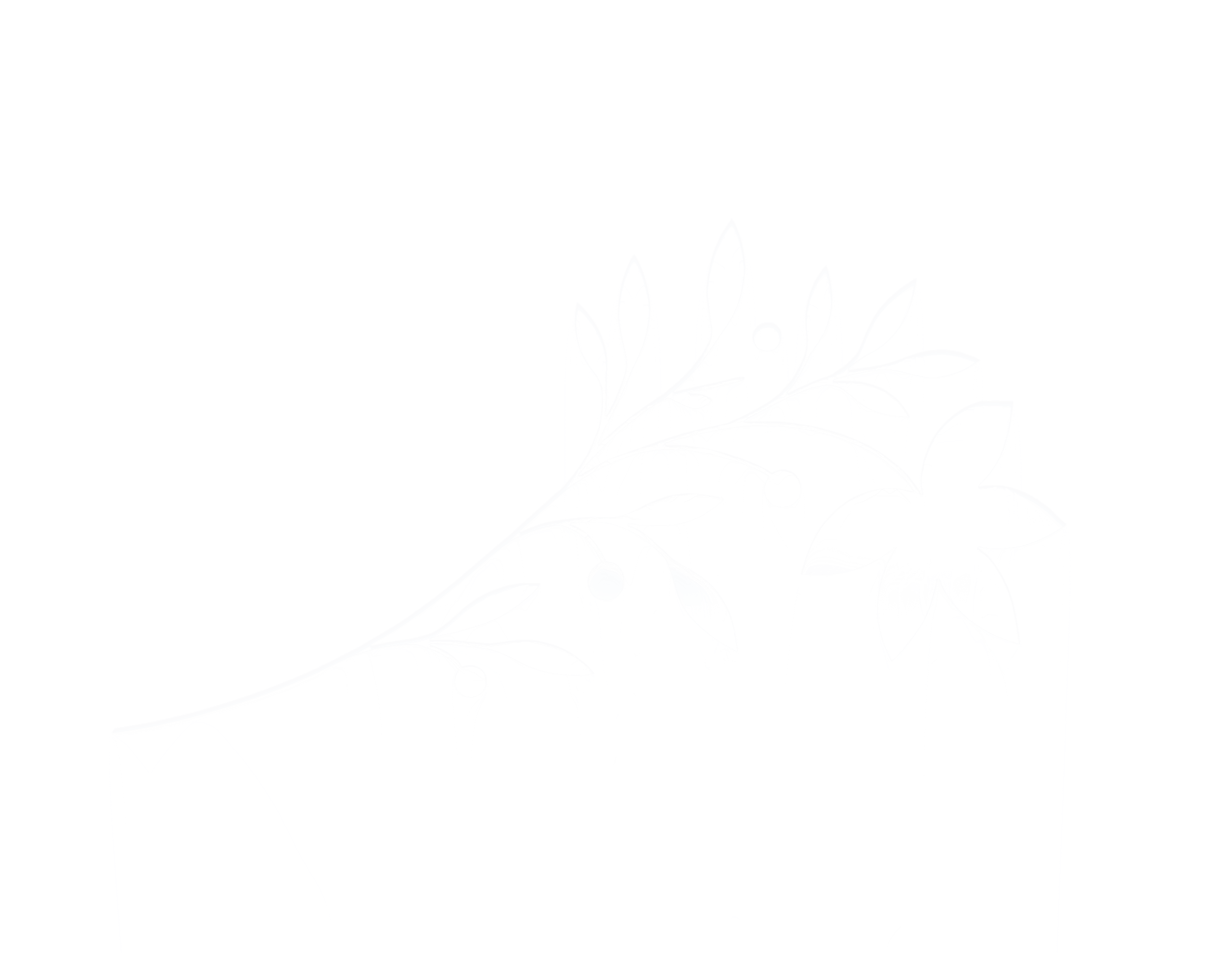ssss